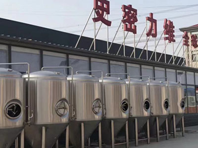 泽州精酿啤酒设备厂—市场规模与跨界新需求